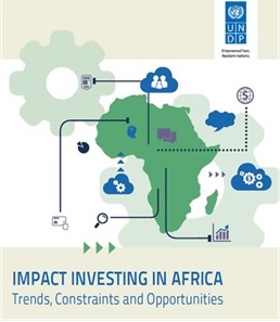 עדליא ייעוץ כלכלי impact in africa