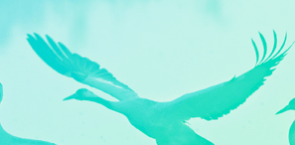 עדליא ייעוץ כלכלי כנס השקעות