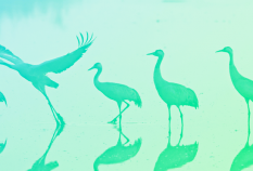 עדליא ייעוץ כלכלי ניתוח עלות - תועלת